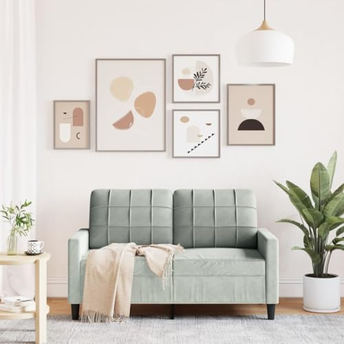 Faroom Sofá de 2 plazas Moderno de Terciopelo, Chaise Longue, Gris Claro