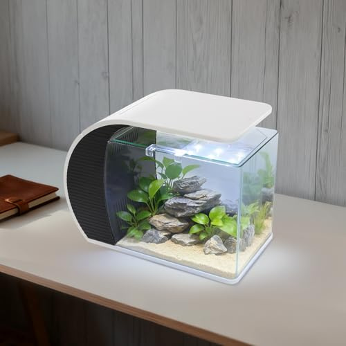 Acquario moderno Nano Acquario da 19 l, 3,2 W, con 4 colori di illuminazione a LED, silenzioso da tavolo con pompa, filtraggio e ossigenazione e circolazione, altezza max: 0,6 m, Q.max: 200 l/h