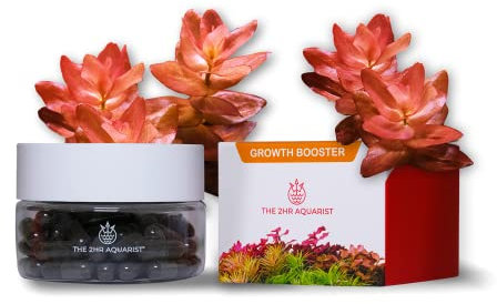 THE 2HR AQUARIST fertilizzanti piante acquario APT J/Jazz Tabs (54 Tabs)