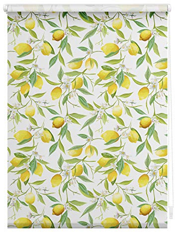 Lichtblick Klemmfix Tageslicht-Rollo mit Motiv, ohne Bohren, Blickdicht, Seitenzugrollo, Made in Germany, Limone - Gelb Grün 45 cm x 150 cm (B x L)