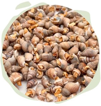 Warnick's Naturhäppchen Schnecken gefriergetrocknet - 100 g