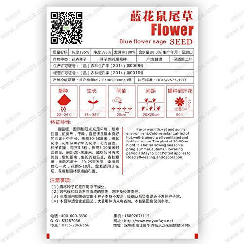 Huifang Neue frische 35 Stück blaue Salbeisamen