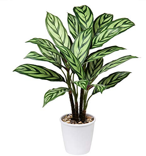 Piante artificiali alte 63 cm Calathea Majestica Exotica piante finte Calathea finte piante artificiali decorative per interni per casa, ufficio, soggiorno
