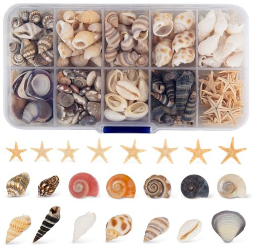 SKOOLOVE 200+ Stück Kleine Muscheln, Muscheln zum Basteln, Natürliche Muscheldekorationen, Darunter Muscheln, Meeresschnecken und Seesterne für Armbänder, Vasenfüllungen, Fischmuscheln und DIY