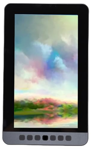 Horett Tableta Gráfica Tableta de Dibujo de Arte Digital 11,6 Pulgadas Sin Batería Función Inclinación del Lápiz óptico 6 Teclas Acceso Rápido Compatible con PC