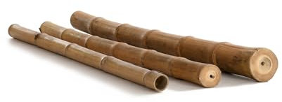 Canna di bambù Moso Ø 6 – 8 cm x L: 200 cm – robuste aste di bambù – come decorazione per giardino e terrazza