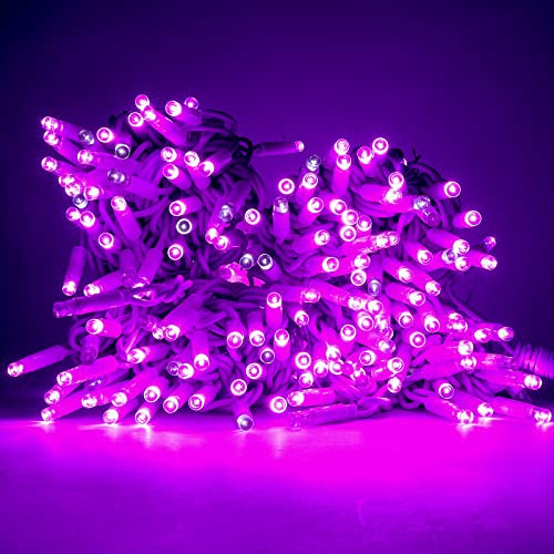 Luccika Stringa Catena di luci Natale a LED Professionale, MaxiLed da 8mm, Flash, per Giardini Negozi Bar, Esterno (Viola con Flash Bianco Ghiaccio, 30 Metri - 300 LED)