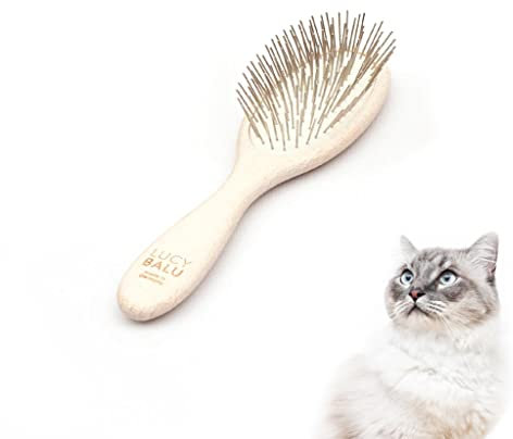 LucyBalu® Katzenbürste Kurzhaar & Langhaar | Fellbürste für Katzen | Unterfellbürste Katze | Katzenkamm zur Fellpflege von Katzen | Tierhaarbürste | Katzenhaarbürste mit Metallborsten & Holzgriff weiß