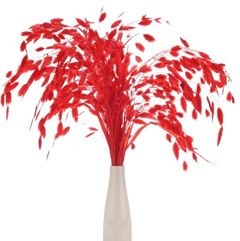 M METERXITY 20-Pz Mazzo Erba Essiccata 17 Chasmanthium Bouquet Fiori Secchi Erba Avena per Riempitore Vasi/Decorazione Casa Fiori Secchi Arrangiamento Pianta Reale Steli Verdi [Rosso]