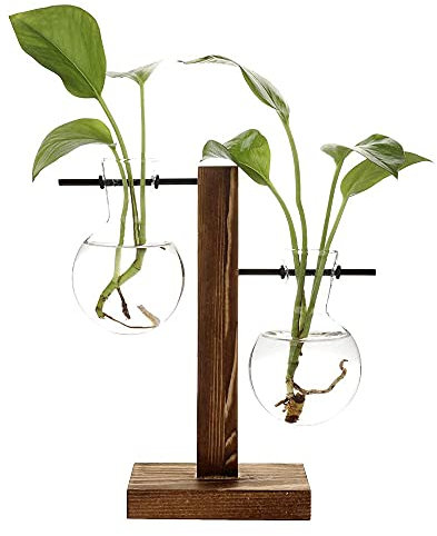 Vase en Verre pour Plantes Hydroponiques, Plantes Hydroponiques Décoration, Vase Hydroponique Vintage, Vase à Ampoule avec Support en Bois, pour Décoration de Chambre, Salon et Bureau