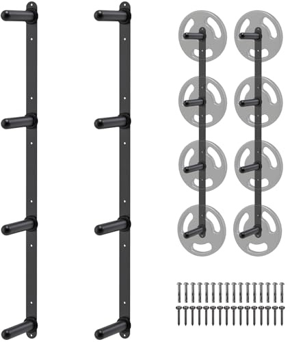 Kipika Lot de 2 supports de rangement muraux pour disques de poids à 4 piquets avec barre en T – Construction en acier durable, installation facile