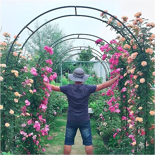 Arche de jardin en métal de 120 à 350 cm, grande tonnelle de mariage pour roses grimpantes, treillis blanc, décoration extérieure, 2,2 m de hauteur, parfaite pour les événements et les jardins