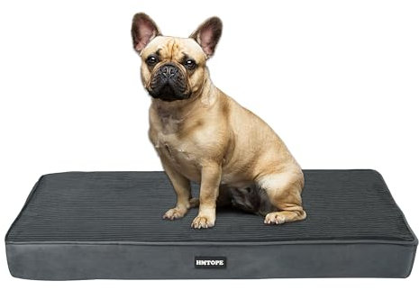 HMTOPE Orthopädisches Hundebett, 8cm Dicke Hundekissen für Kleine Hunde, Abnehmbar und Waschbar Hundematte, rutschfeste Unterseite, Wasserdichtes Innenfutter, 76 cm, Dunkelgrau