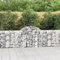 CKioict Gewächshaus Balkon Pflanzbeet Balkonkästen Gabionen mit Hochbogen 10 STK. 200x30x80/100cm Verzinktes Eisenfür Gärten, Terrassen, Rasenflächen