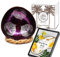 Meer Coco I Pinke Design Kokosnuss Schale I INKL. Rezepte Ebook I Geschenk Set I Kokosnussschale und Schalen Halter I Ideal als Acai-, Frühstück-, Snack- Bowls I Deko Schüssel I Lebensmittelecht
