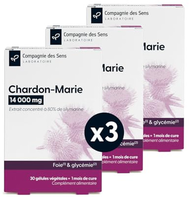 Chardon-Marie 14 000 mg – Haute teneur en Silymarine – 1 mois de cure intensive