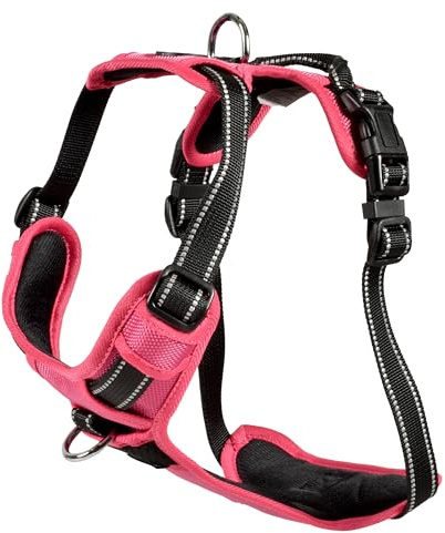 Bobby Rando Walk Harnais pour Chien Taille XS, en Nylon réfléchissant, Boucles réglables à Fermeture sûre, Facile à Porter, Fuchsia Ras du Cou 20-32 cm, Tour de Poitrine 36-43 cm