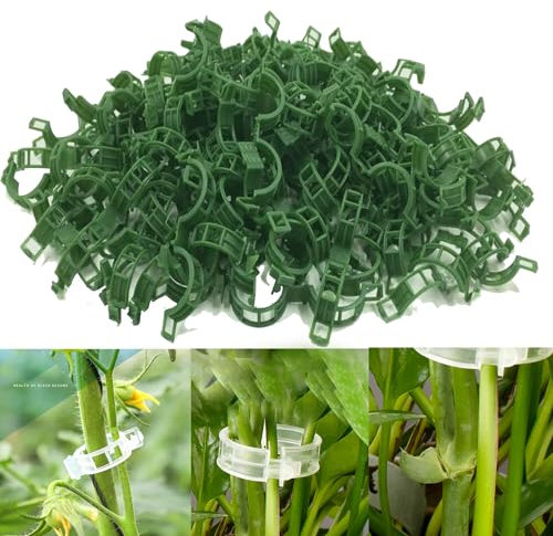 QuaHom 100PCS Plant Supports for Outdoor Plants, Tomato Plant Support, Plant Clips for Climbing Plants, Twine Vine Trellis Cage, Vegetable Garden Plant Support Clips Grafting Tools (Green)