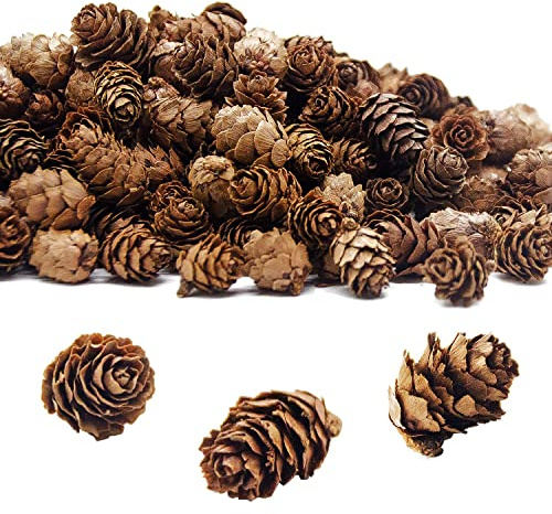 Deloky 400 PCS Christmas Natural Mini Pine Cones- Thanksgiving Pine Cones Ornaments- Fall Small Pinecones Vase Fillers for DIY Crafts, Home Decorations, Fall and Christmas, Wedding Decor