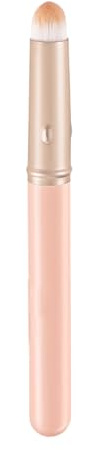 Pinceaux à lèvres pour rouge à lèvres, maquillage portable pour la maison et les voyages