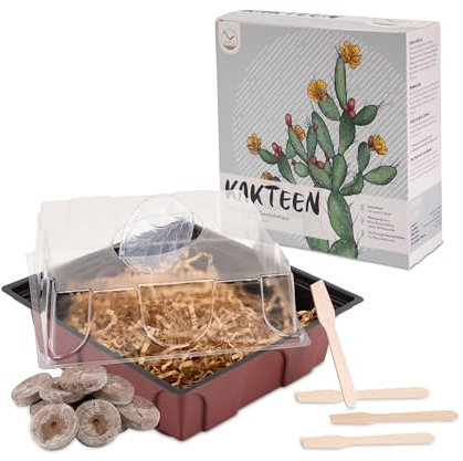 Kakteen Starter Kit Anzuchtset - Pflanzset aus Mini-Gewächshaus, Kaktus Samen & Erde - nachhaltige Geschenkidee für Pflanzenfreunde (Samen: Wüstenrose + Lebender Granit)