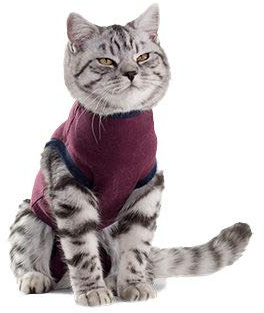 Jacketz Medical Body Suit - Katze - S