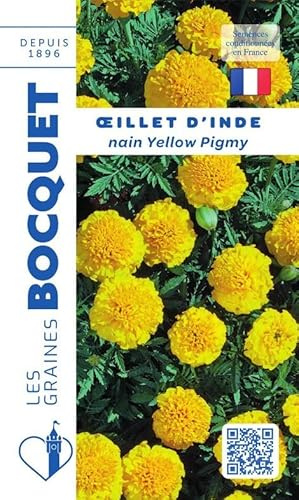 Sachet de graines de Oeillet d'Inde nain Yellow Pigmy jaune citron - 1,2 g - fleur annuelle - LES GRAINES BOCQUET