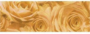 Ludwig Bähr 5 x Transparentpapier Rolle 115g/qm 50x61cm Rosen apricot