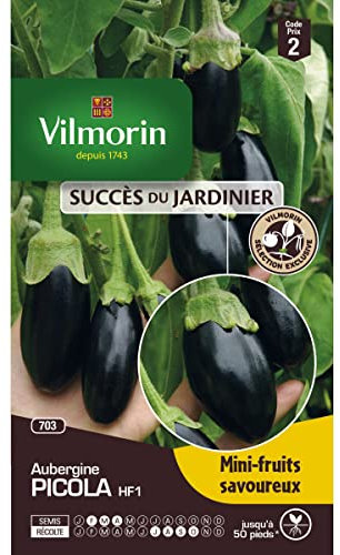 Vilmorin - Sachet graines Aubergine PICOLA HF1