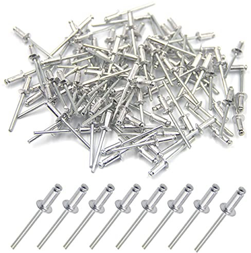 BESTYCHAO 100 pièces de rivets aveugles en aluminium 4 x 10mm, rivets à bout ouvert, rivets pop, paquet de 100 (Argent)