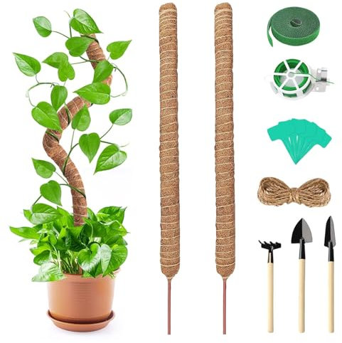 Lot de 2 tiges de 90 cm en Coco et Mousse Monstera Tuteur Souple pour Plantes grimpantes avec Accessoires