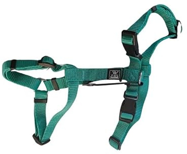 Hundegeschirr, Numbell, Nylon, Türkis, Größe M-L