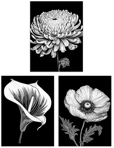 Artery8 Set of 3 A4 Elegant Striking Poppy Chrysanthemum and Calla Lily Floral Artwork Black and White Impact Unframed Wall Art Living Room Poster Prints Pack