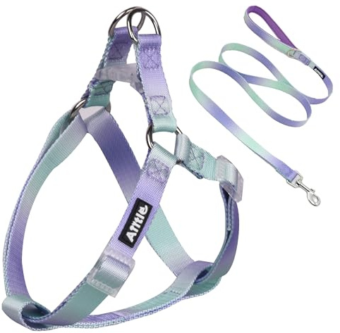 AIITLE Step-In Dog Harness and Leash Set - No Pull Pet Adjustable Halter Harness with A 5FT Leash - Double D ring - Easy Walk Running Training for Large Breed Dogs,Purple-Green Gradient L