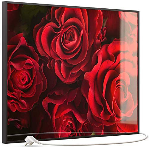 STEINFELD Heizsysteme® Glas Bild Infrarotheizung Paneel Heizung mit Thermostat | Made in Germany | viele Motive 350-1200 Watt Rahmen schwarz (500 Watt, 056 rote Rose)