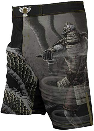 Raven Fightwear Elements Wind Fight Shorts Men's Combatti i Pantaloncini Uomo MMA BJJ Boxe Arti Marziali Fitness Grappling No Gi