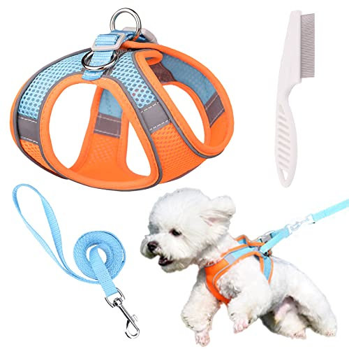 BDSHUNBF Hundegeschirr Kleine Hunde mit Leine, Welpen Step-in Geschirr Reflektierend, Hundegeschirr für Hleine Hunde, Gepolstert Atmungsaktiv,für Kleine Hunde, Katzen (S, Orange)
