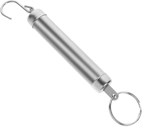 Healeved Bilancia Meccanica a Molla Portatile da Cucina e Pesca in Acciaio Inox 5 Kg con Gancio ad Anello, Bilancia Pesa Bagagli da Viaggio Compatta e Resistente per Pesare Pacchi, Pesce