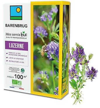 BARENBRUG - Erba medica biologica - Arricchisce il terreno con sostanza organica - Limita il dilavamento - Ristruttura il terreno - Restituisce i nutrienti per le colture future - 500 g