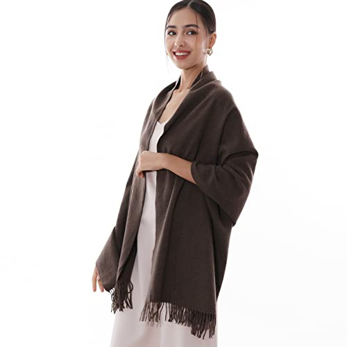 RIIQIICHY Pañuelo, chal, bufanda pashmina para mujer, para boda, bufanda para pasar un invierno cálido