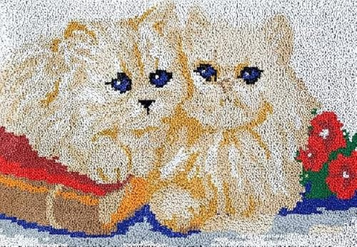 ROCKY&CHAO Latch Hook Kit for Adults & Kids Complete DIY Rug Making Craft Kits with Yarn & Canvas and Crochet Needle, Adult Craft Kits for Women, Relaxing Home Art Project - Ragdoll Cat 50x38cm