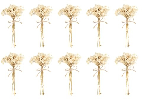 PATIKIL Mini torkad bukett, 10 stycken babyandning naturlig vild blomma med stjälk dekor boho blomma växt blomma för pyssel gör-det-själv foto rekvisita gåva bröllopsdekor, vit