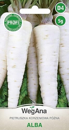 WegAna Prezzemolo Radice Alba 5g (Circa 4000 semi), Prezzemolo Radice Robusto Semi di Ortaggi Semi di Coltivazione per Serra Varietà Media Tardiva