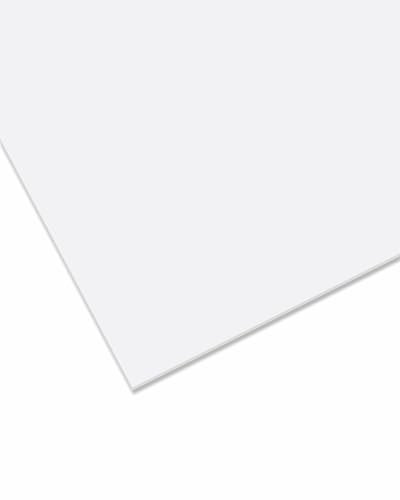 nattmann PLEXIGLAS® GS - Placa de cristal acrílico irrompible para objetos luminosos y más, 3 mm, calidad de marca en 25 x 50 cm, color blanco opaco (WH01)