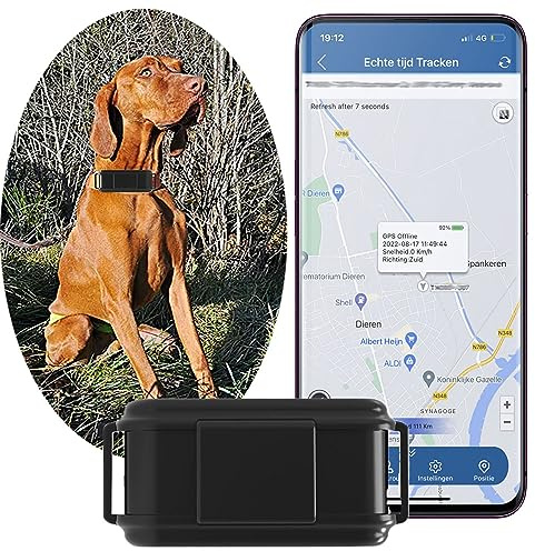 Zeerkeer GPS per Collare Cani 4G Tracker Cani in Tempo Reale, GPS Satellitare per Collare GPS Gatto e Cani, GPS Collare Impermeabile, Localizzatore GPS con App Gratuita, Collare GPS Senza Abbonamento