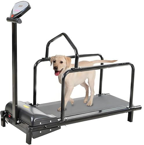 Löpband för husdjur, löpband för hundar, löpband för stora hundar, medelstora hundar och små hundar, löpband för inomhusbruk med display, maximal viktkapacitet 80 kg, lämplig