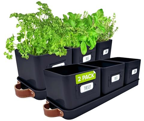 Green Thumbz Herb Pots for Kitchen Windowsill - 2 Pack Black Herb Planter Indoor with Leather Handled Tray - Ideal for an Indoor Herb Garden, Plants and Flowers - Labels Included