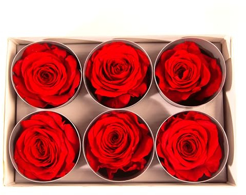 Echte Infinity Rosenköpfe, konserviert, 5-6 cm Durchmesser, 6 Stück, haltbar bis zu 3 Jahren, für Basteln, Sträuße, Kränze, Hochzeiten, Valentinstag, Muttertag, Weihnachten (Rot)