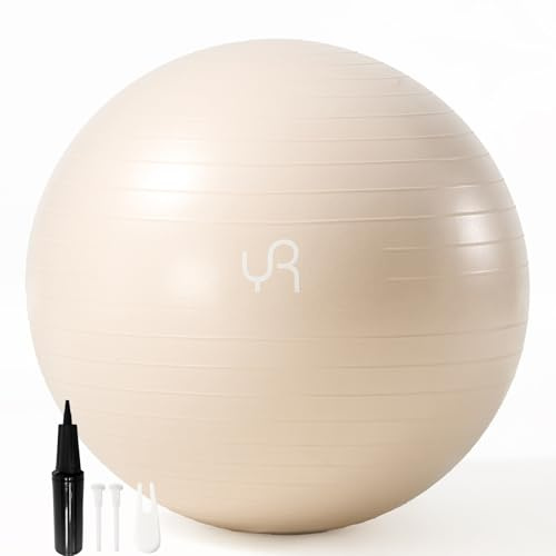 RYTMAT Anti Burst Yoga Ball 65cm Extra Thick Gym Ball with Inhalation Tube Anti Slip Exercise Ball for Yoga Pilates Labour Balls Chair for Balance Core Training