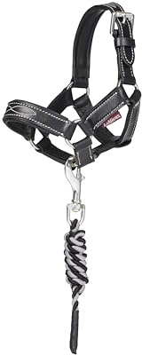 LeMieux Toy Pony Leather Halter & Leadrope - Suitable for 3+ - Black